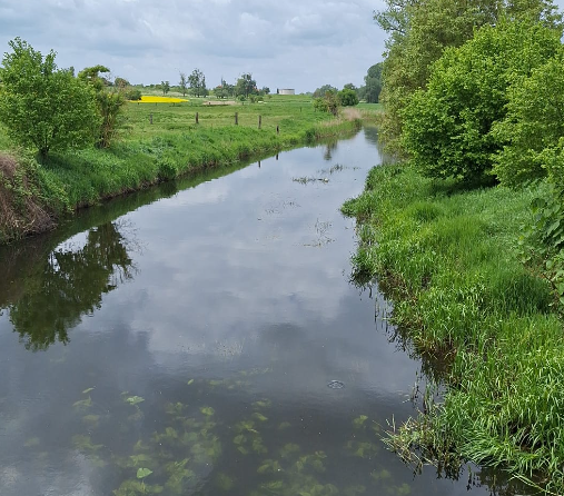 Fluss mit grünen Ufern, Wiesen und Bäumen unter bewölktem Himmel